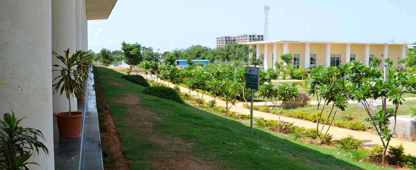 College Banner