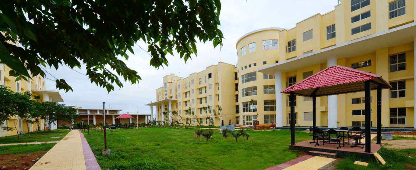 College Banner