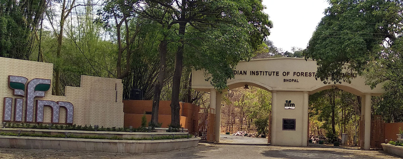 College Banner