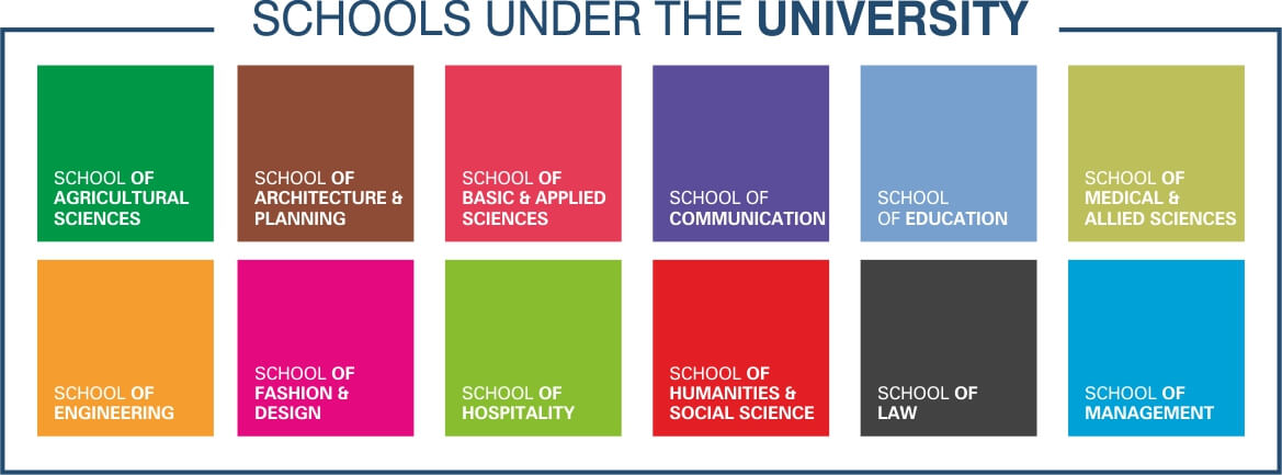 schools