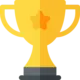 Awards Icon