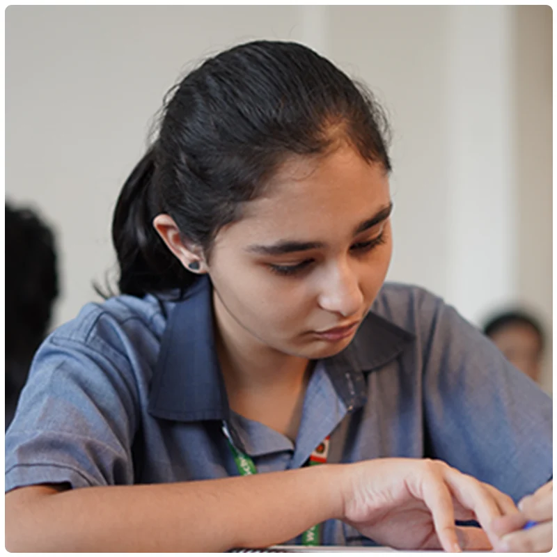 Curriculum Frame