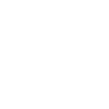 MNCs Icon