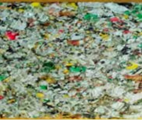 Paper Waste Pulp